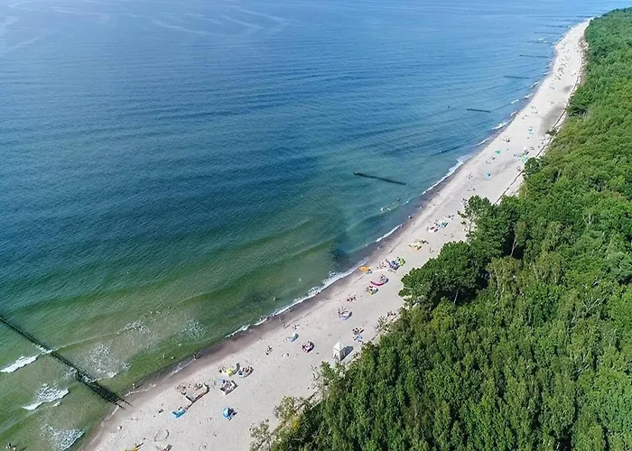 In Near Baltic Sea Sarbinowo